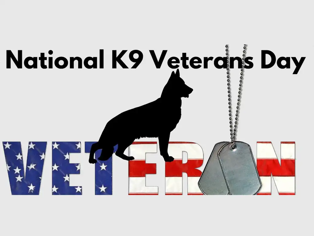 National K9 Veterans Day | Care Plus NJ