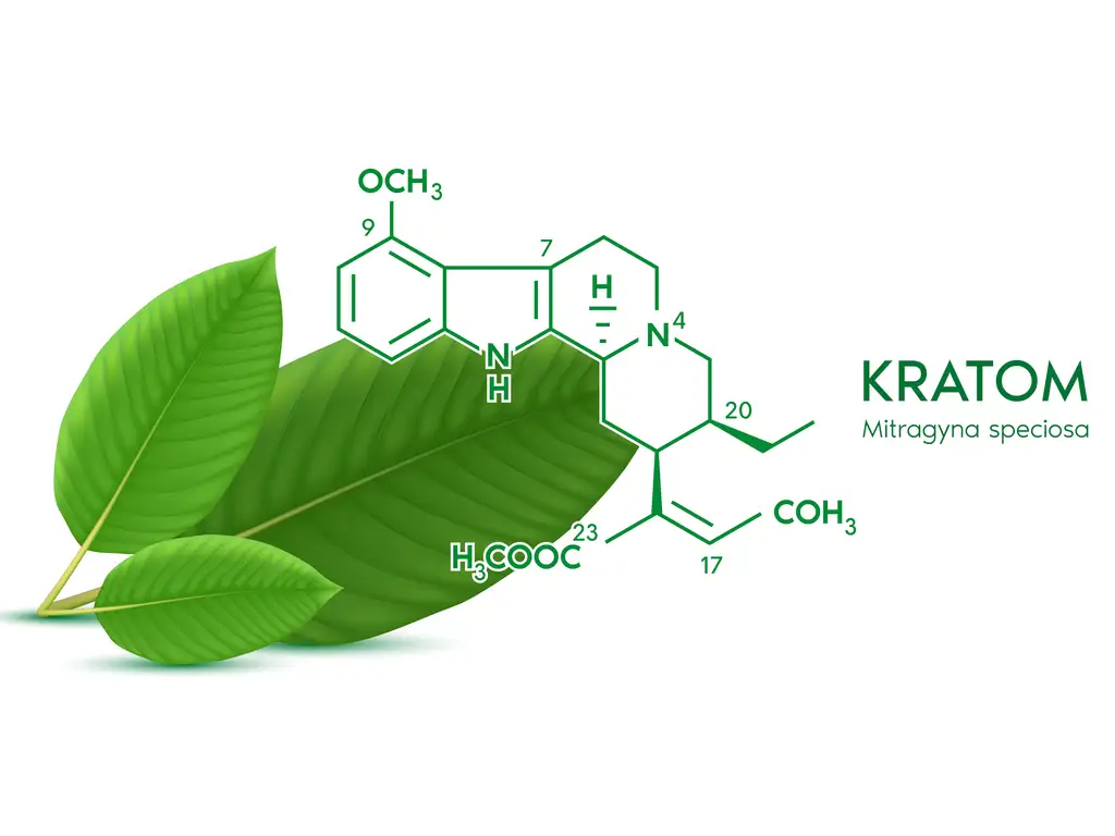Kratom in New Jersey | Care Plus NJ