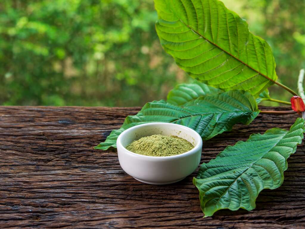 Kratom Powder | Care Plus NJ